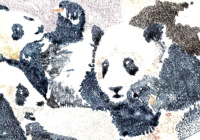 Pandas