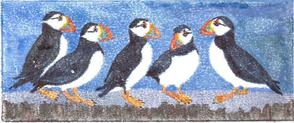 Puffins