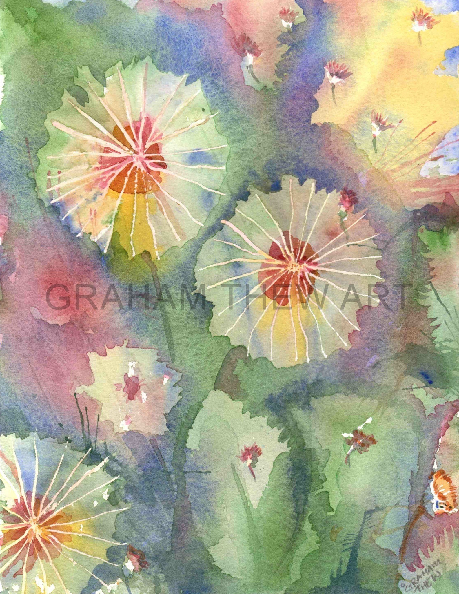 Dandelion Clocks