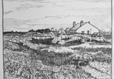 Meols Common Study