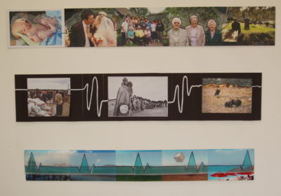 Lifelines project